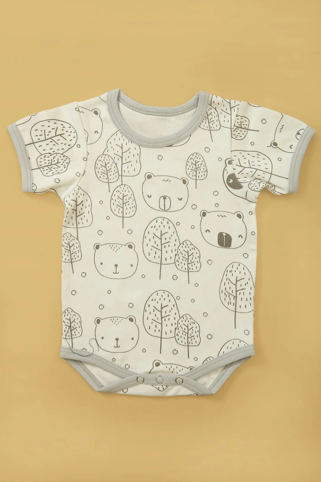 Baby Bear - Bundle of 6
